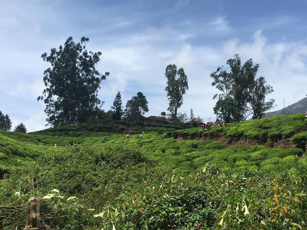 Golden Green Hotell Munnar Exteriör bild
